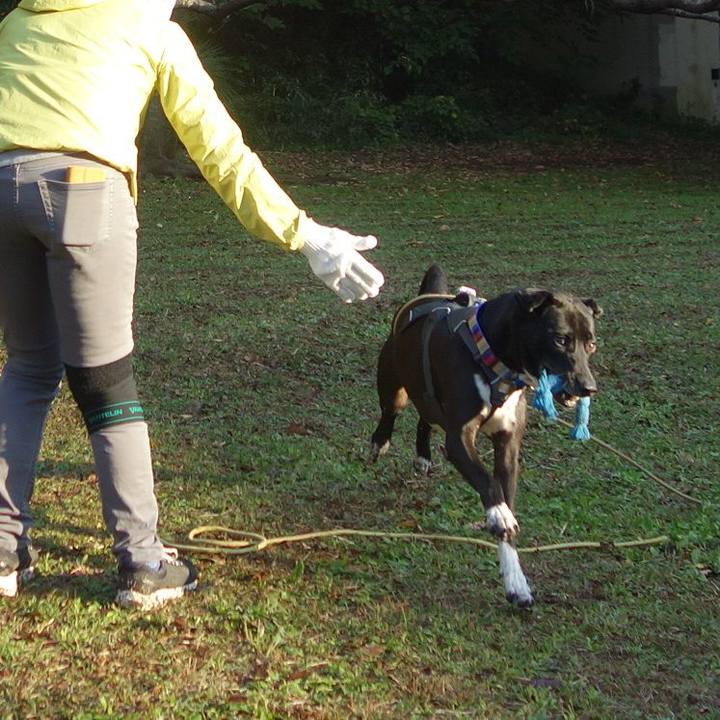 5972636a 0da8 4541 a95e f971d61f9896 1637369530303