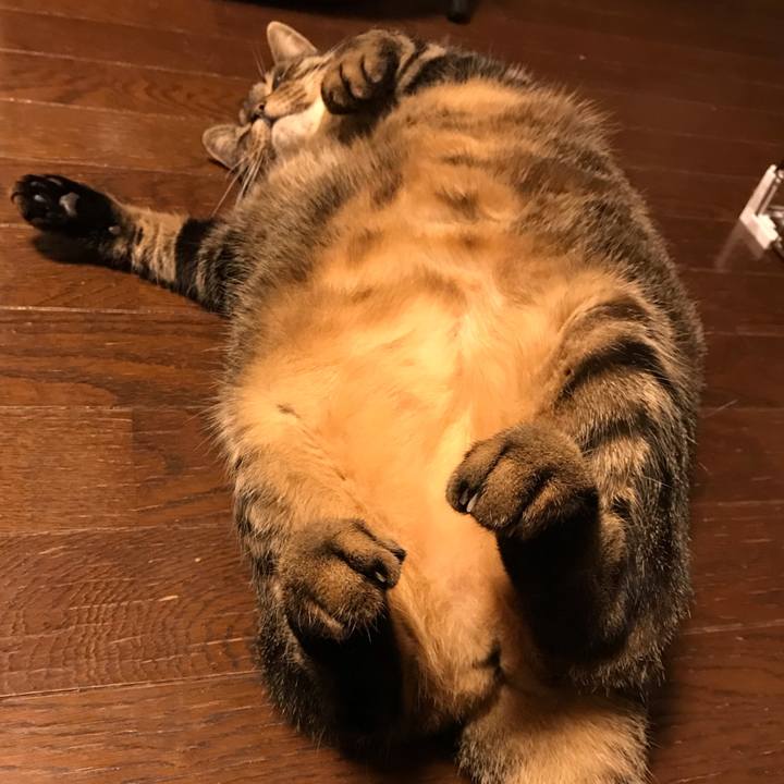 5972922b 890c 4779 9cab 0b2501c9fbf9 1648556623930