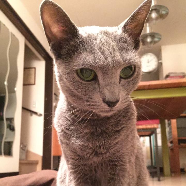 5972a2b2 2fea 4411 baef b06f5bc4b900 1511997545209