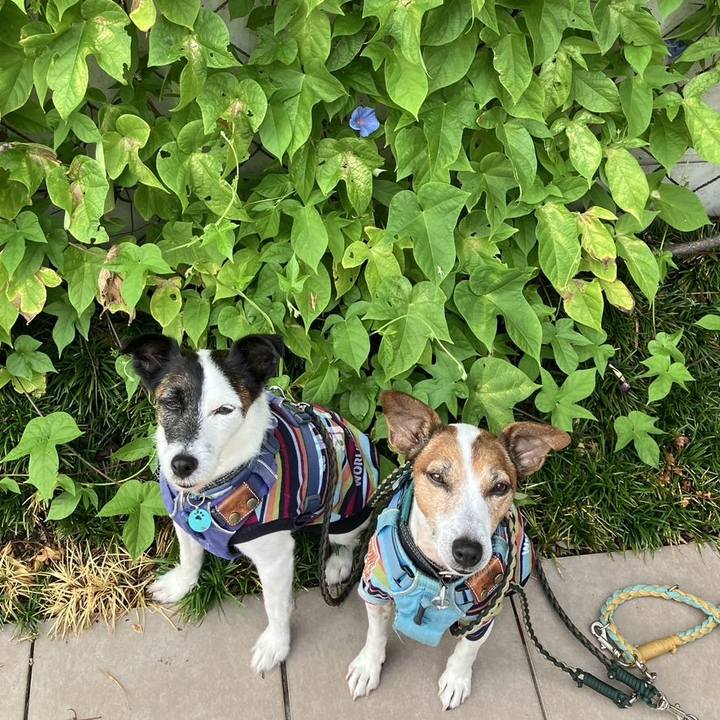 5972d2a2 996e 4f8d a94d 6de1f74d99bc 1755037626177