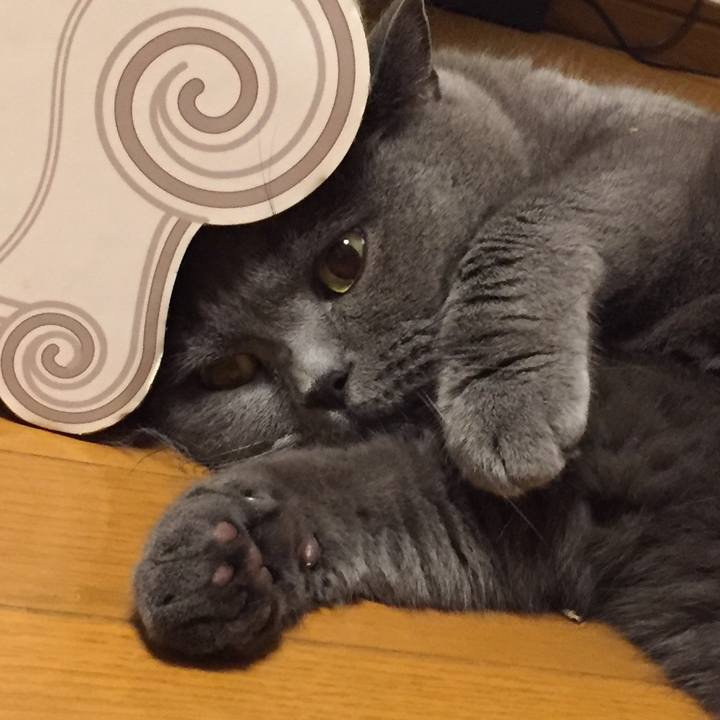 5972dda5 2076 45a4 a4b0 aec5a5a3ad38 1533646009714