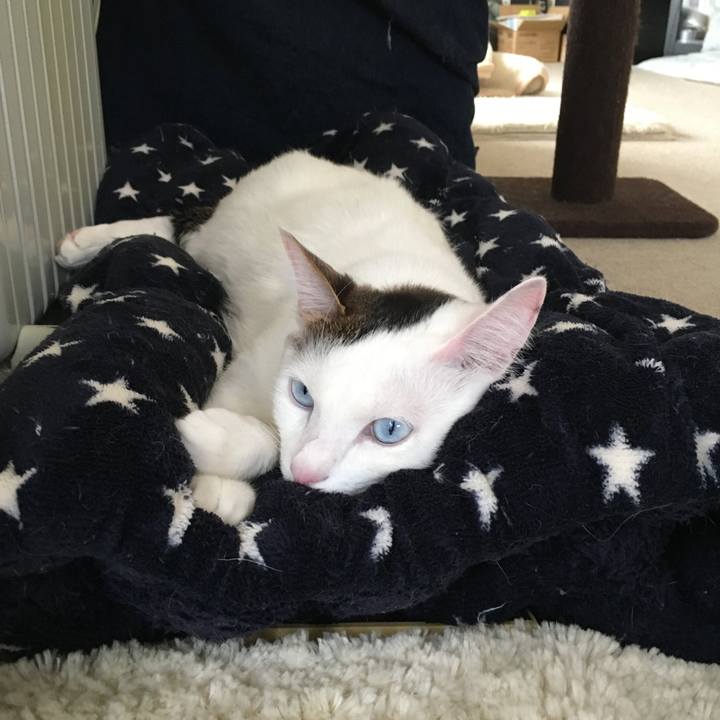 5972f22e 5c76 47c7 8a72 42f38397ccb0 1770773957421