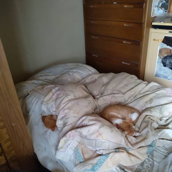 59730b39 2be0 480d aef9 bbb979ec5947 1745901288759