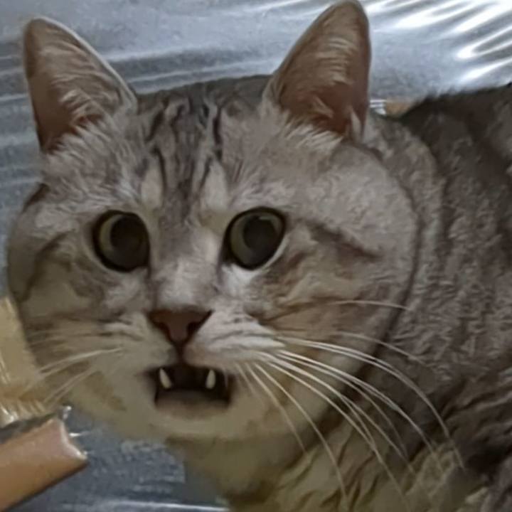 59730fb7 fd79 4a1a a4b8 8d570e34626a 1731837154158