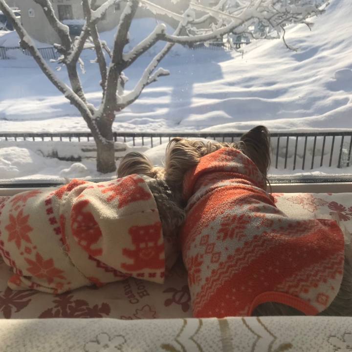 59732312 0e11 471c ad96 efcb4405dc5d 1553726163747