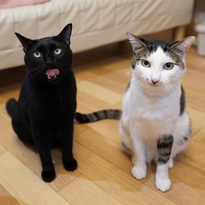 59735a8b e266 4c2d 841f bb7e2f7a385f 1569335418523