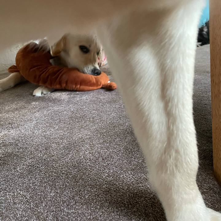 597361fa 4223 4f5e bd0e c5dd3375116f 1622762923419