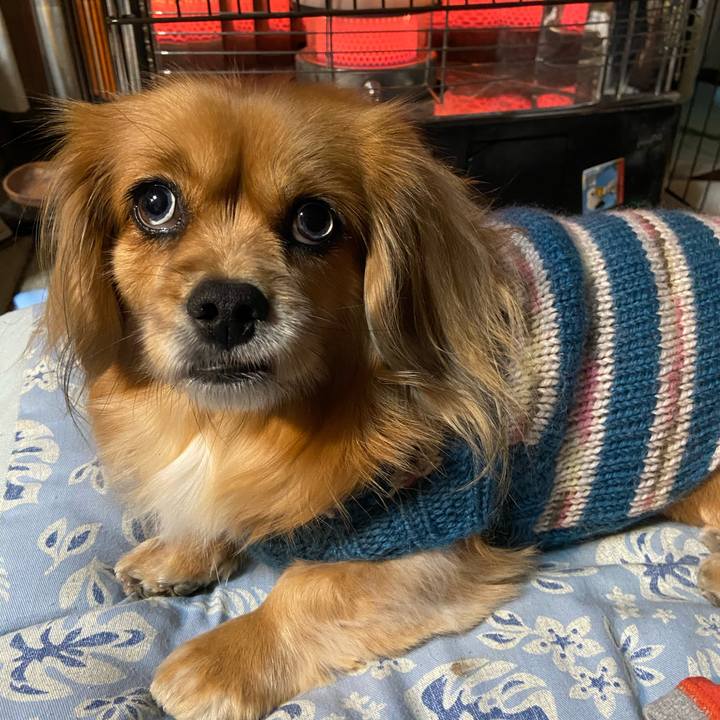 59736839 80fd 4ee8 8439 3c2bf2cc06cd 1610659599224