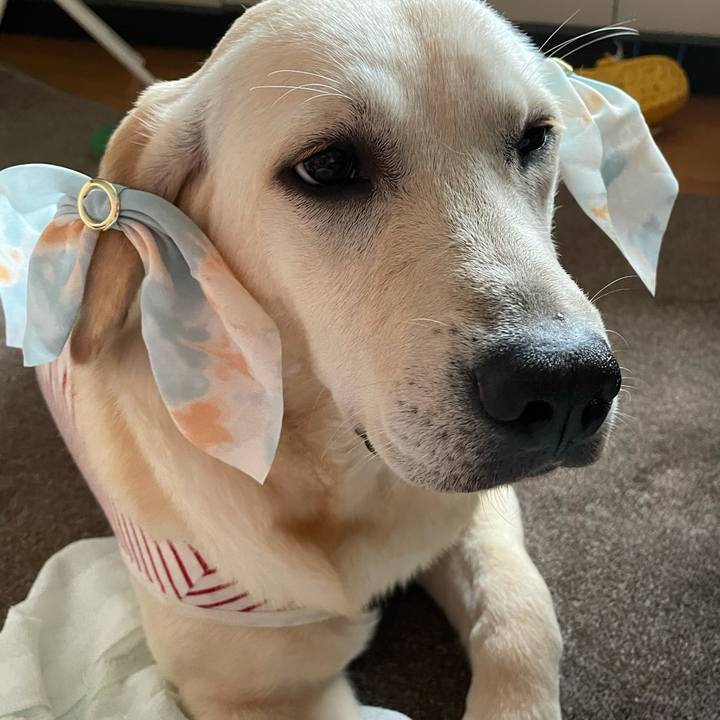 597371c7 ae8d 4220 80e1 2fc29f9be3ff 1623416473837