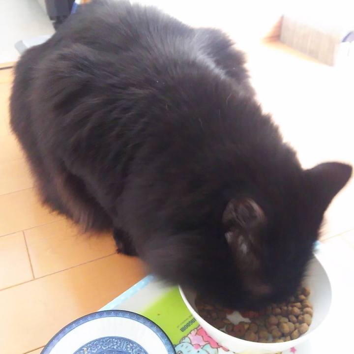 59738018 5a8e 4ef7 8f2f 1c0ed122fa58 1550557744120