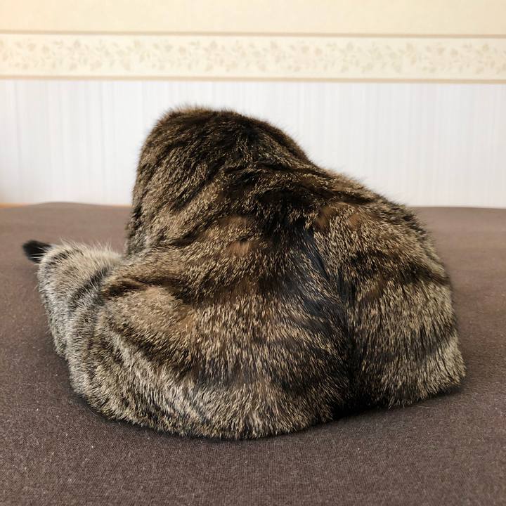 5973a1f1 6e2a 483a bfa0 c3df62f3eb4b 1522056812053