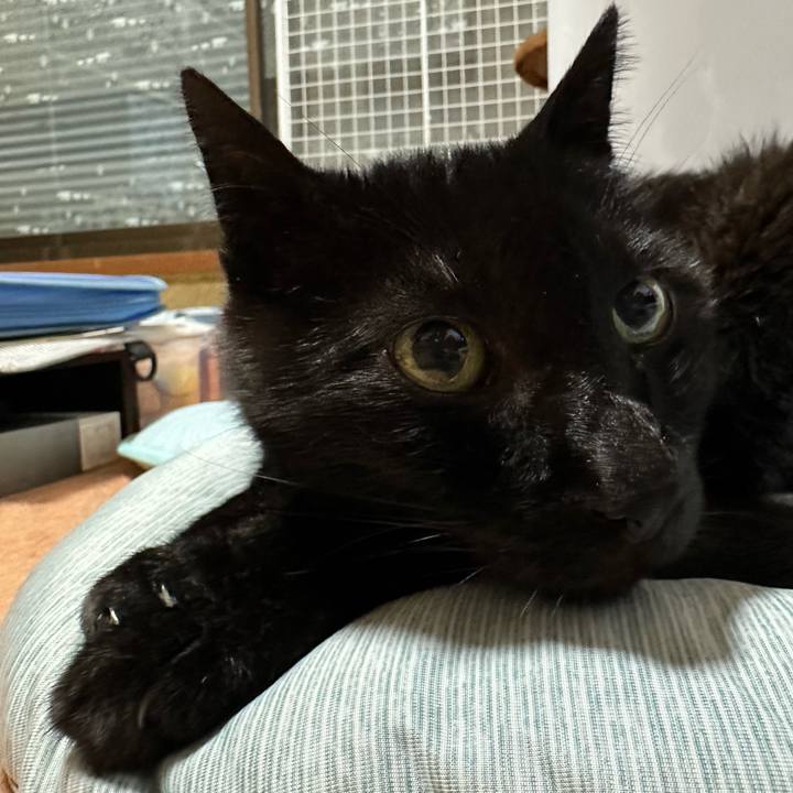 5973a95d cbac 4b4a 9224 710637200ec6 1684374419827