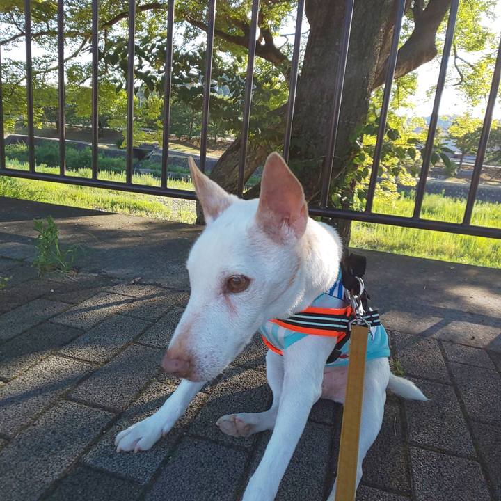 5973ce1f a041 4d4b b1c1 621563ce1139 1565395452751