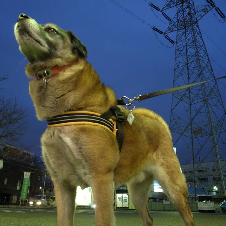 59746b44 d209 47ca af25 73956344546d 1584840523450