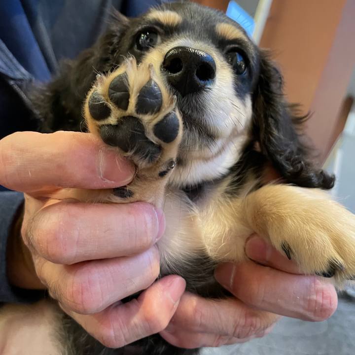 597476e0 6bfd 41c7 9cd3 ae7fa8ad450e 1665235364815