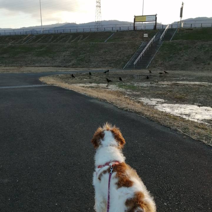 59747dd5 2cd3 4a22 a715 e6511ed68c7d 1613606266897