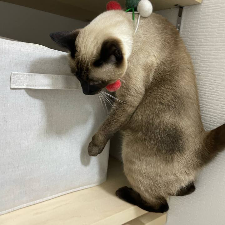 5974abf7 a8e4 48a5 89f9 a1ed752f402f 1731270095455