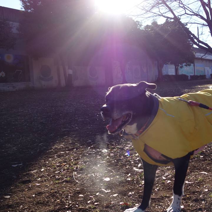 5974cfa8 4032 4f8c 9ec2 03773dac9527 1738974246635