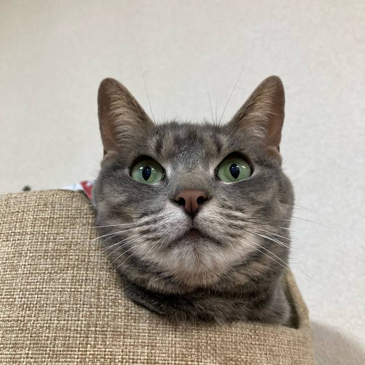 5974dcdf 6a58 479c bfd4 f121ff47556a 1622371092250