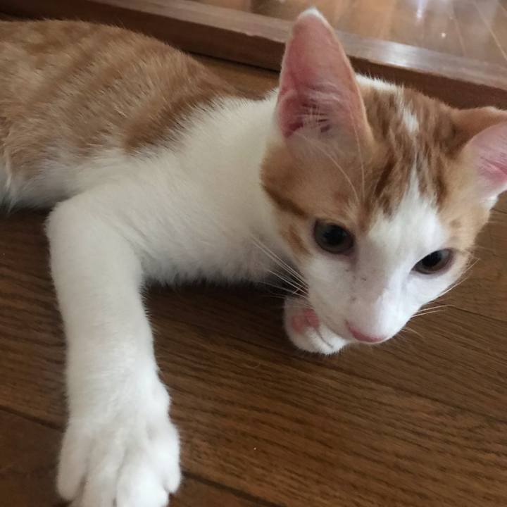 59750ea5 1091 4437 9b51 95fc059f9e0b 1565820078217