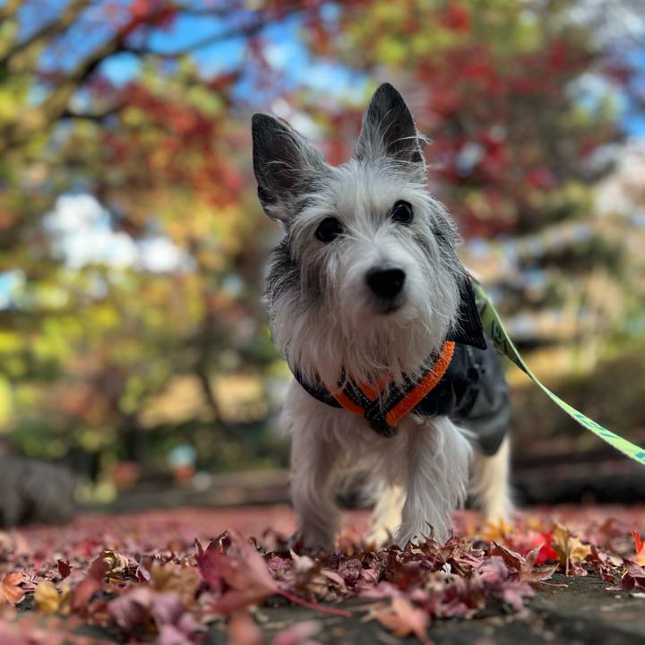 59752e0e 0b69 45e7 a8c8 4d47540c92a3 1671366362593