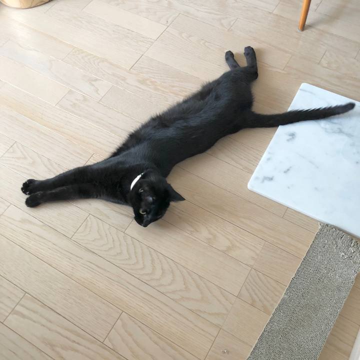 597530d4 2be7 499b 91e3 f3cefcb51e90 1599964785037