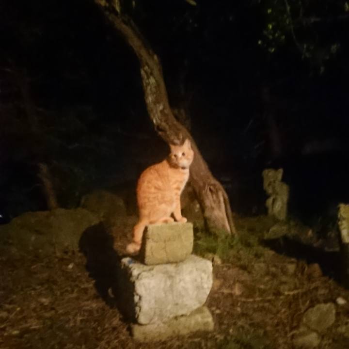 59754ecd e5c1 4390 969e 319cb06caa3d 1660910962918