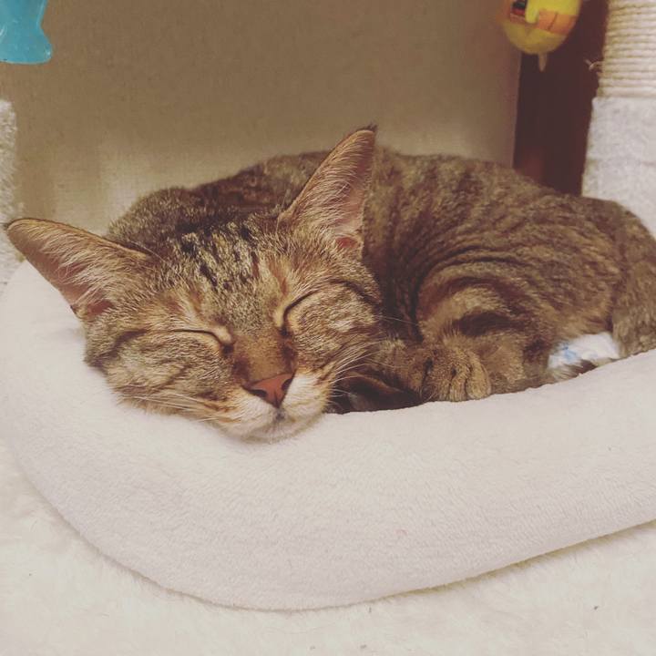 59757982 7401 40b9 96b4 d90a745399ff 1593779499466