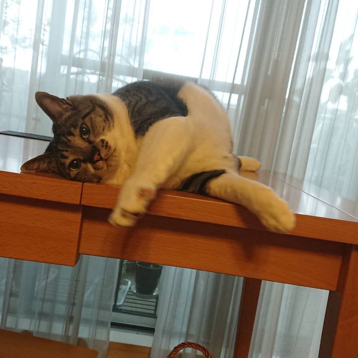 59757df8 c6eb 40e4 8f15 2624f6be4886 1528709709376