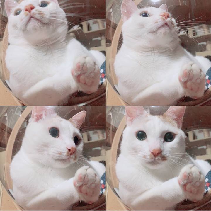 59759e0e a51b 4e53 bc3a 0166cce1a39d 1615473588318