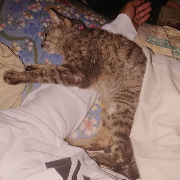 5975db70 57d5 4c8a 833d 5839b3da80a0 1598989558988