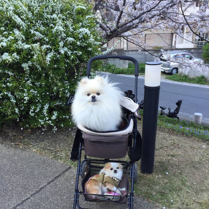 5975e810 a246 4367 8845 5cebd6f9f959 1554439777834