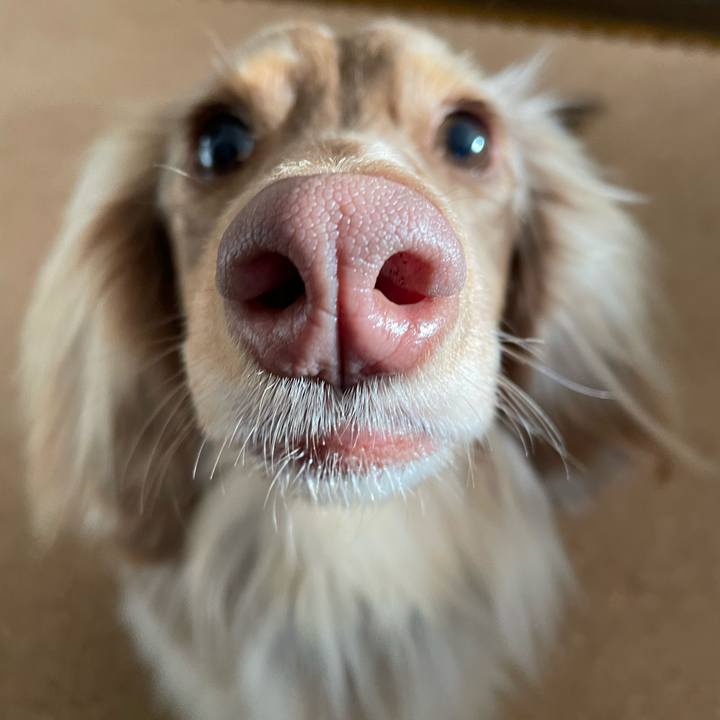 597659f6 8e77 45ab 8698 445db3d7c889 1773566180973