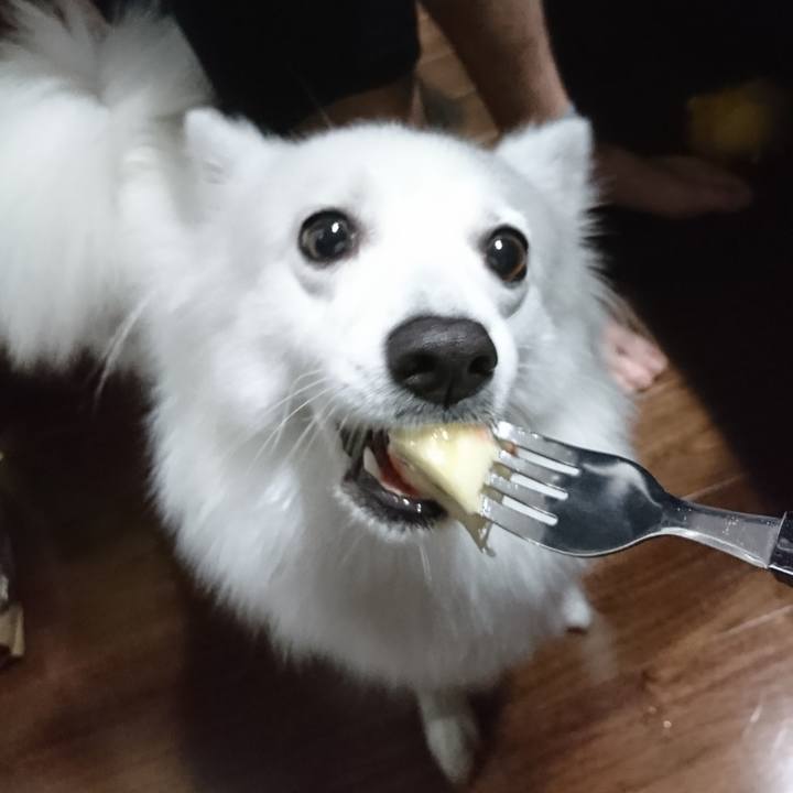 59766e79 291a 4d5d b354 3967d01ec1c5 1535118678659