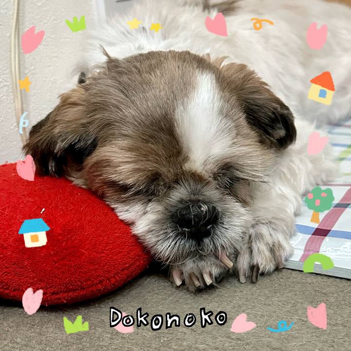 59767eb1 3819 4865 8561 7fc432ab3633 1741276588559