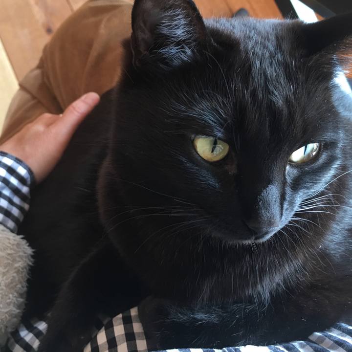 5976cfdd d4bb 47a5 abca 1418e60a1aea 1550711760486