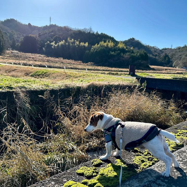 59770eee 3d67 4fa3 804b 1e10086d0f15 1704599110343