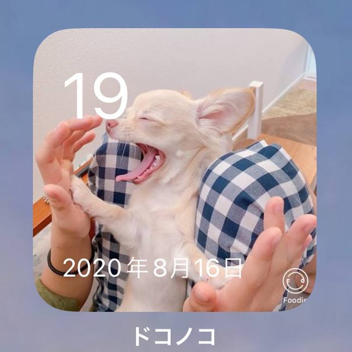 5977297f abd7 4b1b 96a1 056bc59f2ca1 1692445158583