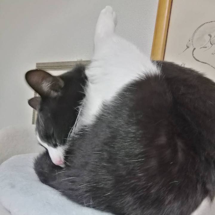 59773f2d 98f2 4a55 a777 7aa3b8aec6f6 1555251301487