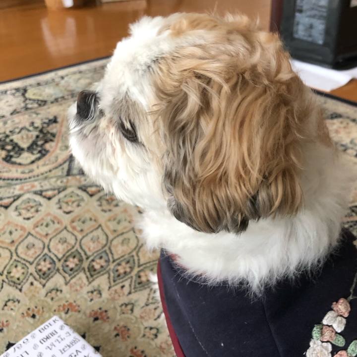 597778ea a309 40b0 891e 45f3402de129 1612302932892