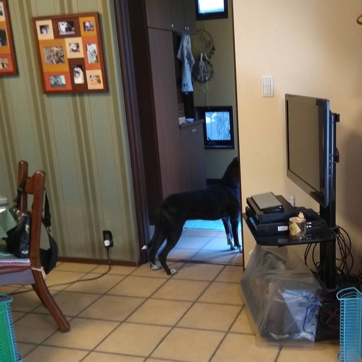 59777c84 89a2 40f5 9500 9e69a657c1f7 1587338843131