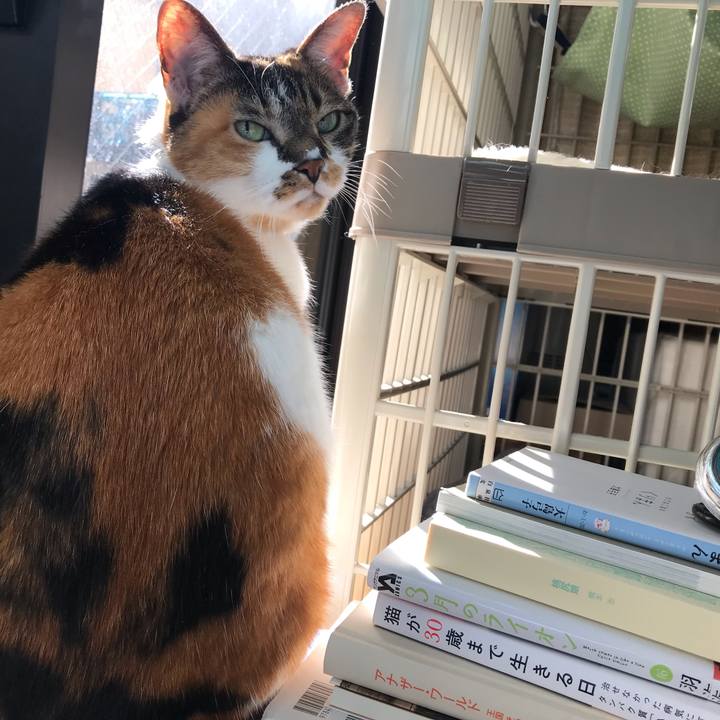 59777fd2 1fd3 4e24 b692 85a354acdda9 1636938941530