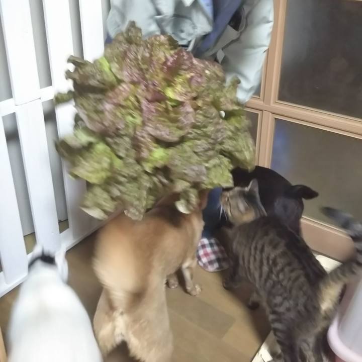 59778c3e 1693 4a93 9c8c c8c6abfe2716 1585786865078