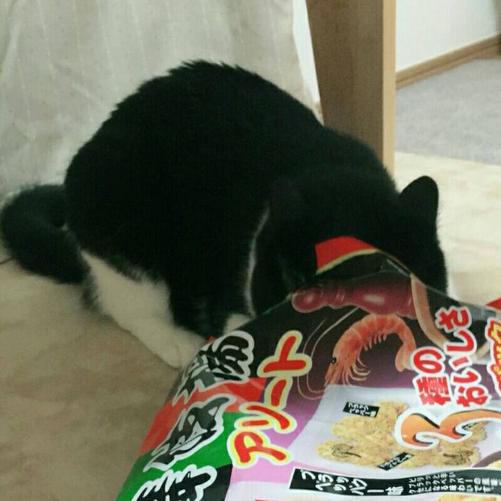 59779279 9c95 4865 b591 5f6bd3e4a5f7 1515071385567