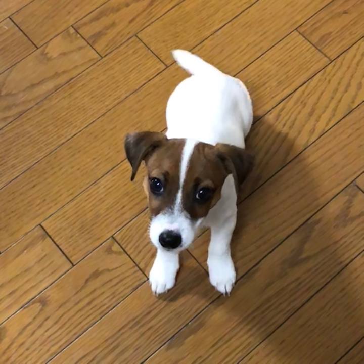 5977b0fd ec5a 43f6 809c cd48364af252 1513466040712