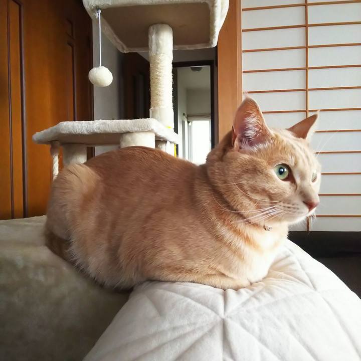 5977d853 6ab4 4a63 b363 39b1b12af3c8 1604357721210