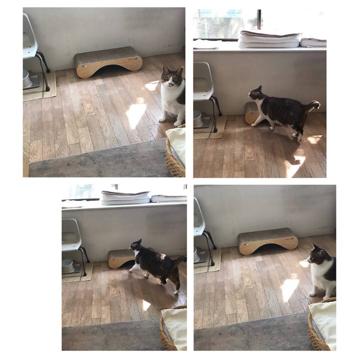 5978396b c85c 4041 9d56 face3b9aaa05 1646791678044