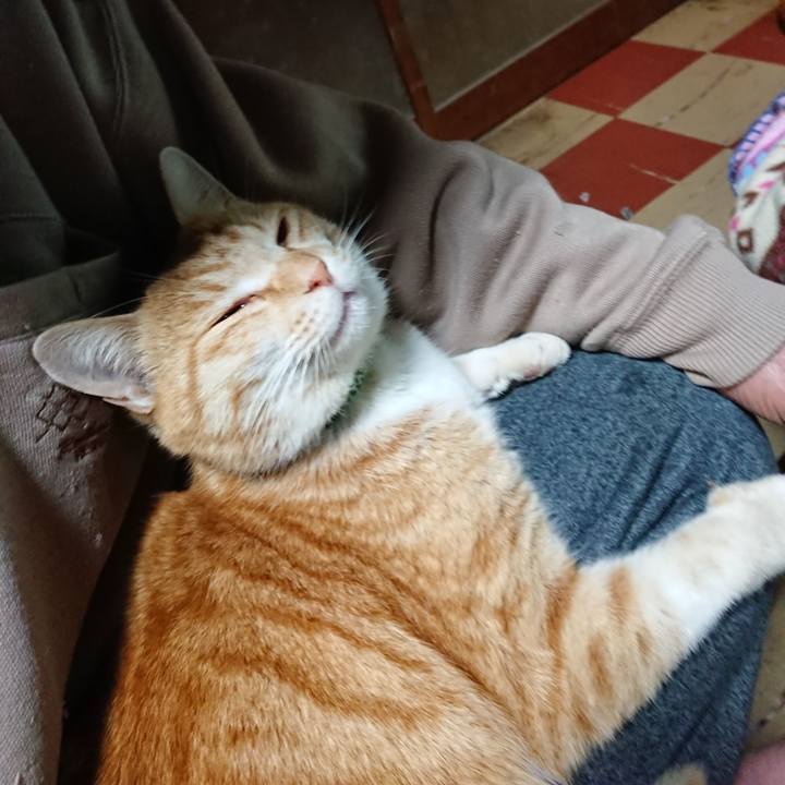 597847a7 8472 415b 8dc9 9d0da4ecd1c4 1585044947272