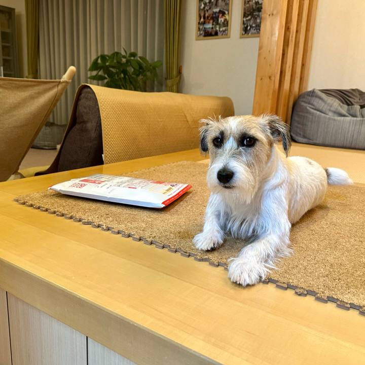 59789268 23cc 414f b009 e87d6fd80b99 1695394104045