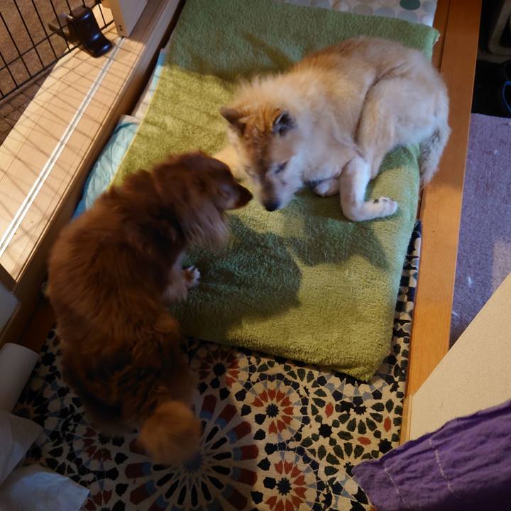 5978a904 fd59 4e2c ad77 1182df19e30c 1625272966904